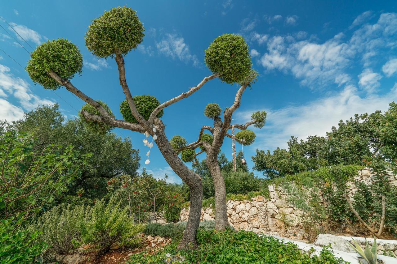 Askos Stone Villa - The Island Panorama 圣尼古拉奥斯 外观 照片